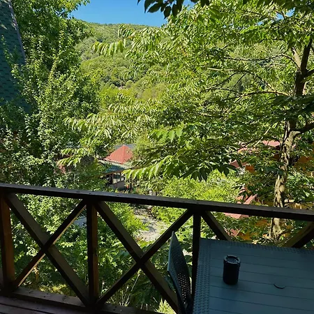 Sifakoey Privat bolig Sapanca